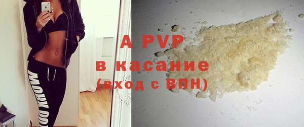амф Горняк