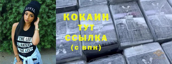 амф Горняк