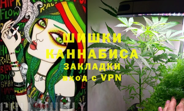амф Горняк