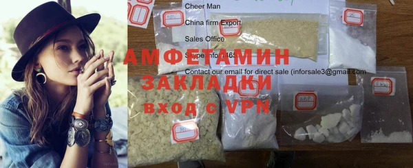 амф Горняк