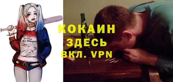 амф Горняк