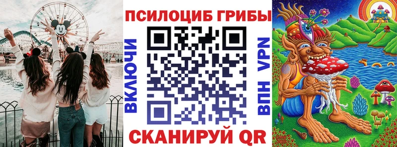 Галлюциногенные грибы Psilocybine cubensis  Омск 